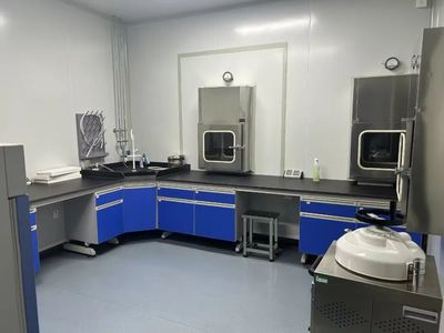 從豬肚實驗到行業領先 這群年輕人如何革新耐火材料制造